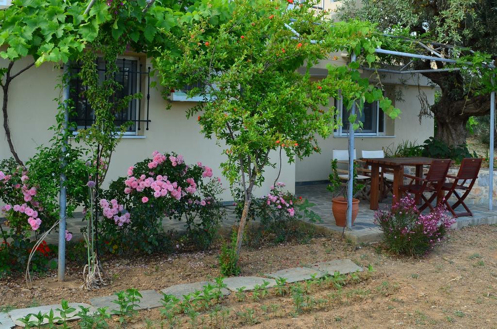 Villas Zoe Ksanemos المظهر الخارجي الصورة