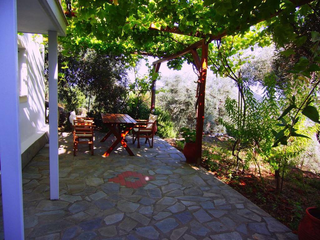 Villas Zoe Ksanemos المظهر الخارجي الصورة